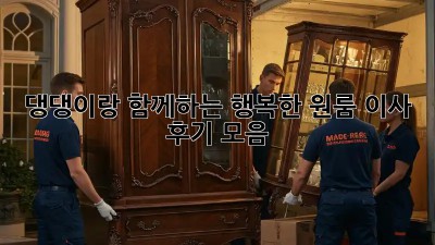 댕댕이랑 함께하는 행복한 원룸 이사 후기 모음