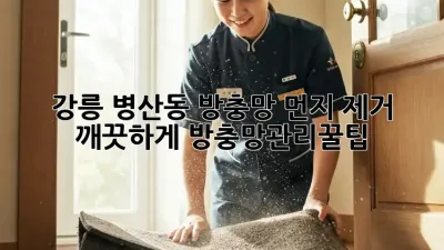 강릉 병산동 방충망 먼지 제거🧹 깨끗하게! #방충망관리꿀팁